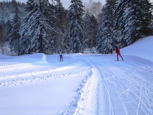 Photo_2