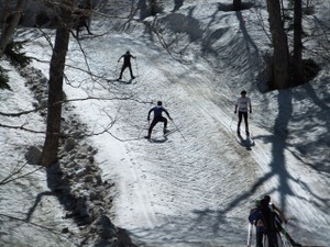 Photo_3