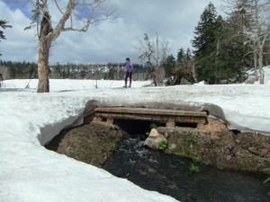 Photo_7