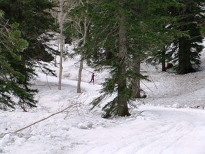 Photo_2