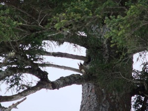 Photo_4