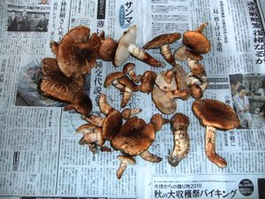 Photo_2