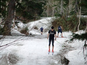 Photo_3