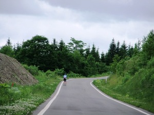 Photo_2