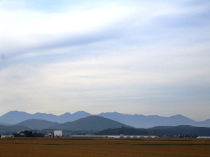 Photo_5