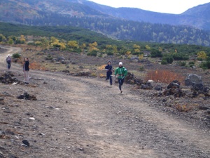 Photo_2