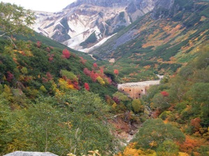 Photo_3