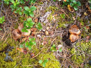 Photo_5