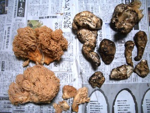 Photo_2