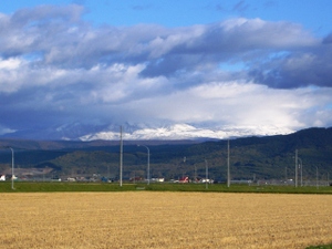 Photo_2