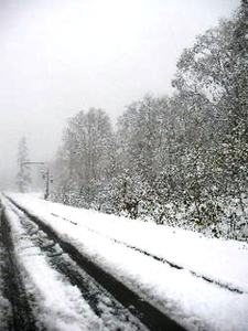 Photo_3