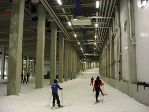Photo_3