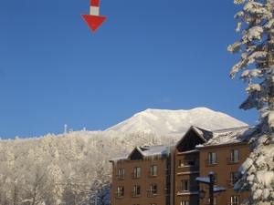 Photo_3